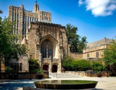 Judges announce they’ll pass on Yale Law students when hiring clerks